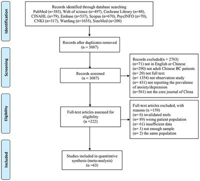 Prevalence and severity of anxiety and depression in Chinese patients with breast cancer: a systematic review and meta-analysis